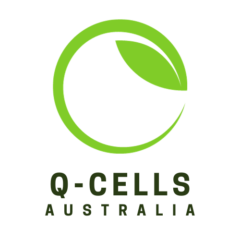 q-cells-australia